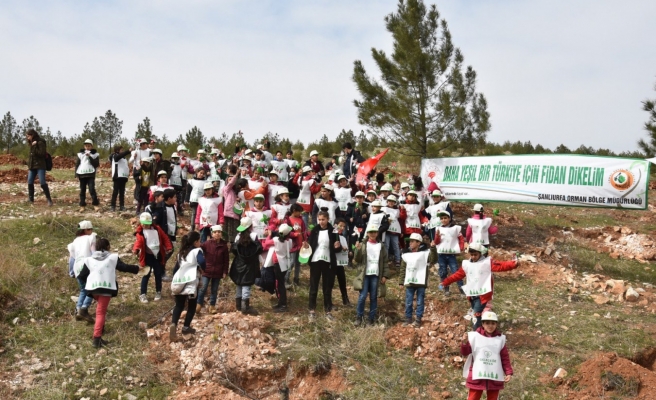 Urfa'da Orman Haftası'nda fidan dikimi yapıldı