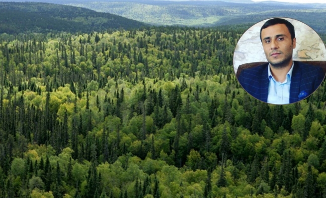 Urfa'da ormanlık alanlar ve ağaçlandırmalar yeterli değil