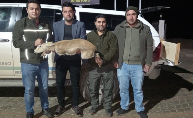 Ceza miktarlar arttırıldı!