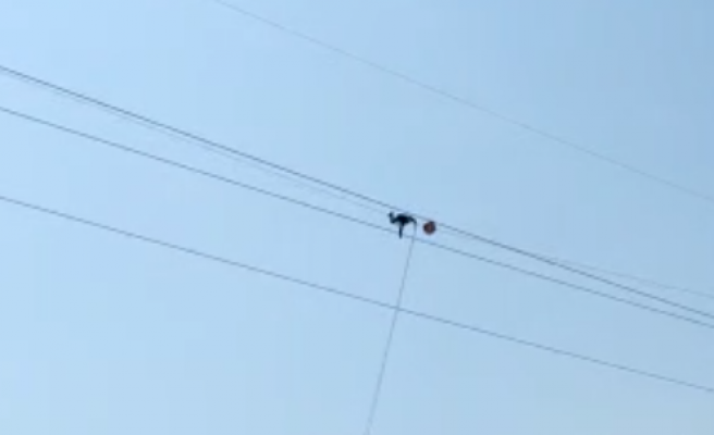 Şanlıurfa’da tehlikeli çalışma!