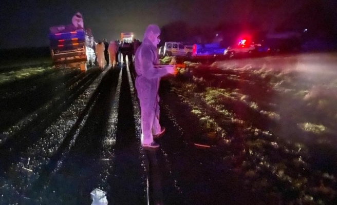 Siverek'te kaza! Arılar etrafa saçıldı