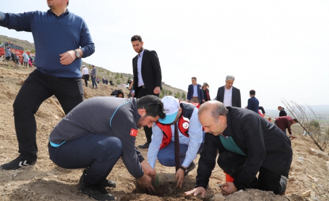 Sağlık personelleri hastalıklara karşı onlarca ağaç dikti