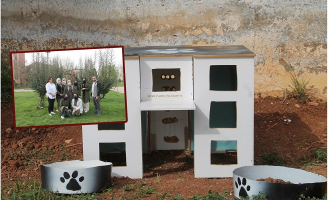 Öğrenciler sokak hayvanları için kap yaptı