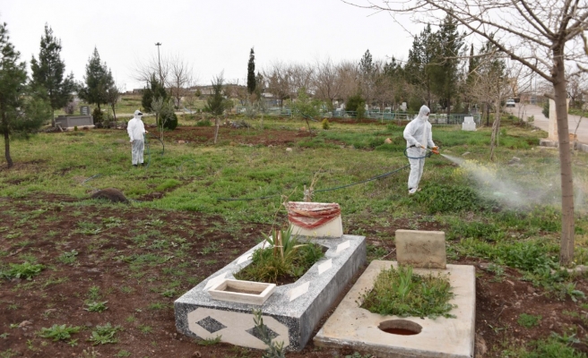 Siverek’te mezarlıklar yabani otlardan temizlendi