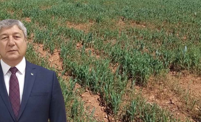 Milyonluk proje atıl kaldı!