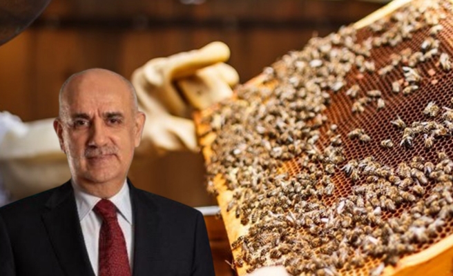 Tarımsal destek ödemeleri başlıyor