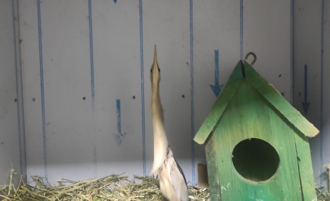 Vatandaşlardan örnek davranış