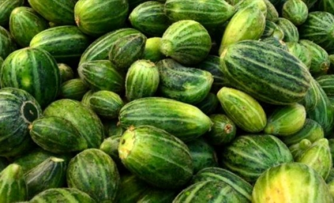 Acur üretiminde Şanlıurfa ilk dörtte