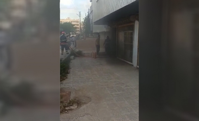 Çocukların oyunu iş yerinde yangına neden oldu!