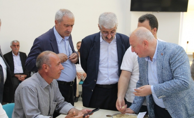 Yılın ilk hasadı görücüye çıktı