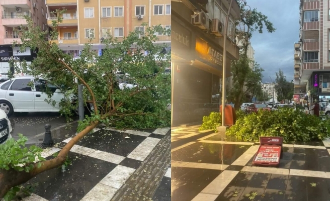Urfa fırtına ve yağmura teslim