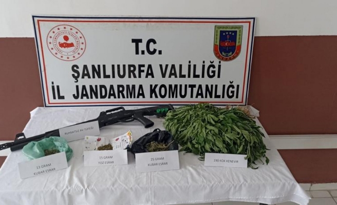Urfa’da jandarmadan uyuşturucu operasyonu