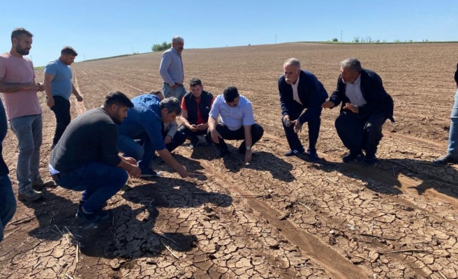 Çiftçiler dikkat! Hilvan'da hasar tespiti başladı...