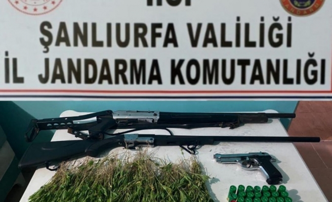 Urfa'da zehir tacirlerine bahar operasyonu!