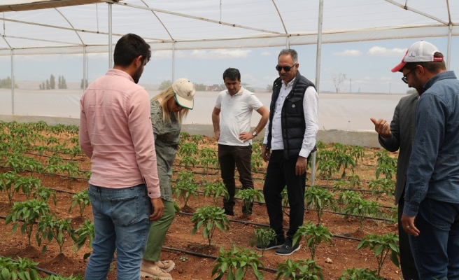 İkinci etap çalışmaları başladı