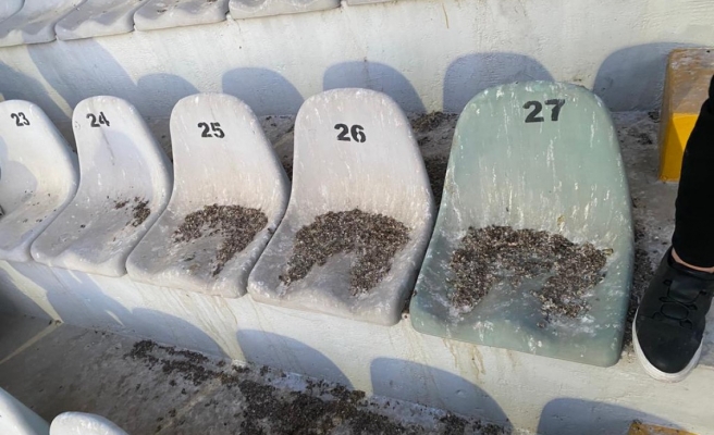 Üniversitenin kirlilik itirafı