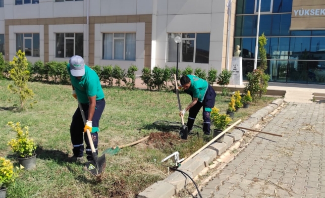 Viranşehir Belediyesi’nden üniversiteye peyzaj çalışması