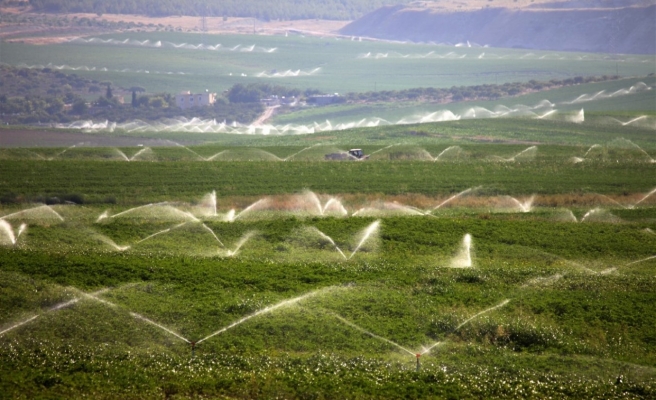 Urfa’nın ihracat ve ithalat rakamları belli oldu!