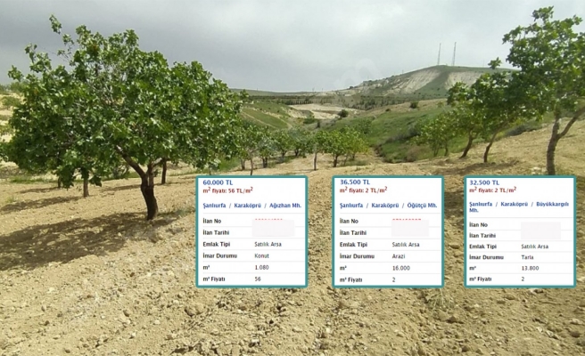 Şanlıurfa'da çok ucuz fiyata arsalar
