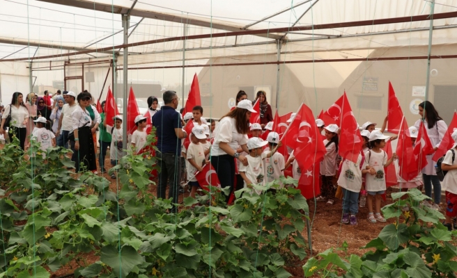 Haliliye’de Dünya Çevre Günü etkinliği