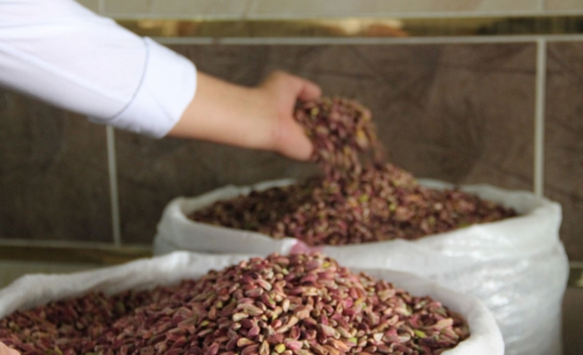 Fıstık fiyatları arttı! Baklavanın tadı kaçtı