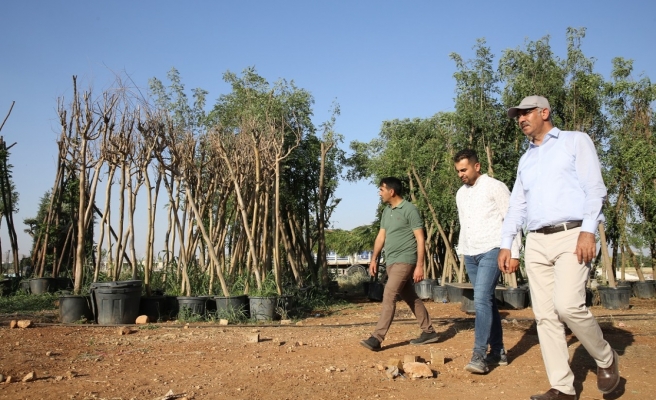 Millet Bahçesi’nde ağaçlandırma çalışmasına başlandı