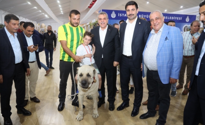 Urfalılar İstanbul’da memleket hasreti giderdi