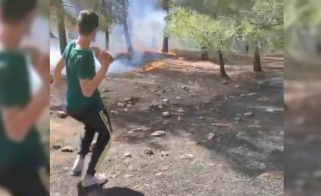 Şanlıurfa'da ormanlık alanda yangın!