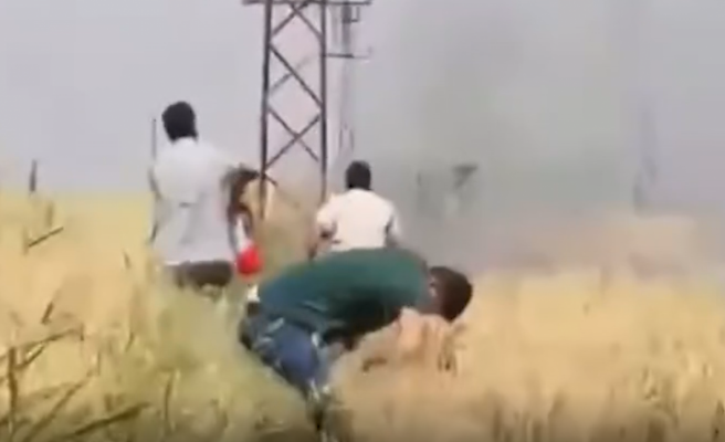 Az kalsın buğday tarlası yanacaktı! Şoförler anında müdahale etti