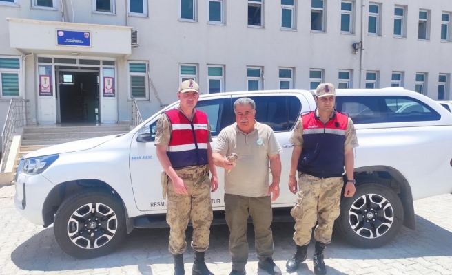 Yaralı halde yavru kerkenez kuşu bulundu