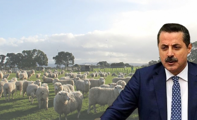 Faruk Çelik et ve süt fiyatlarını eleştirdi