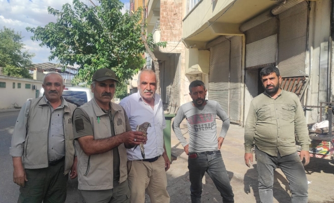 Şanlıurfa'da vatandaşlardan duyarlı davranış