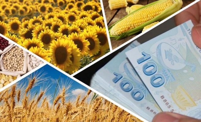 Çiftçinin destekleme ödemesi bugün hesaplara yatırılıyor