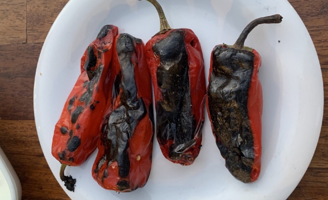 O kadar haklı ki! Doktordan isotla ilgili efsane yorum...