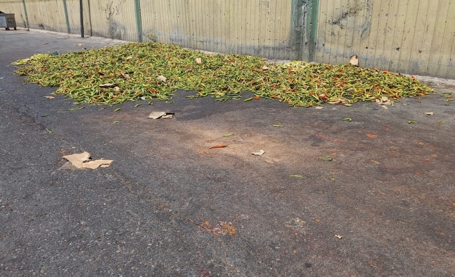 Urfa'da esnaf biberleri istedikleri fiyata satamayınca çöpe atıyor!