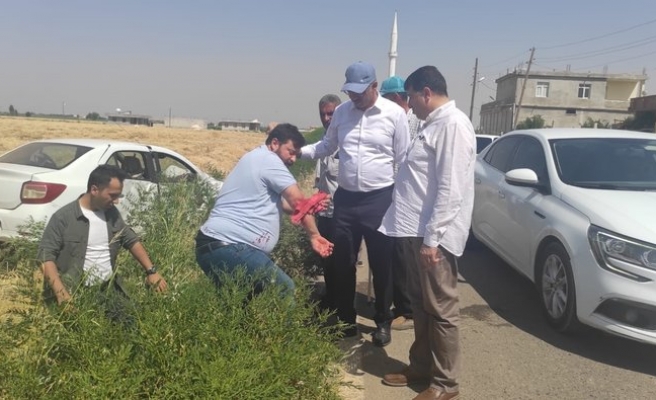 Kazazedeye ilk müdahale Eyyübiye Belediye Başkanı Kuş’tan