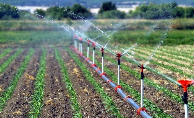 Tarımsal girdi fiyat endeksi istatistikleri açıklandı