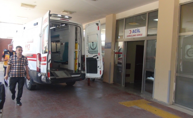 Urfa’da bir köpek saldırısı daha!