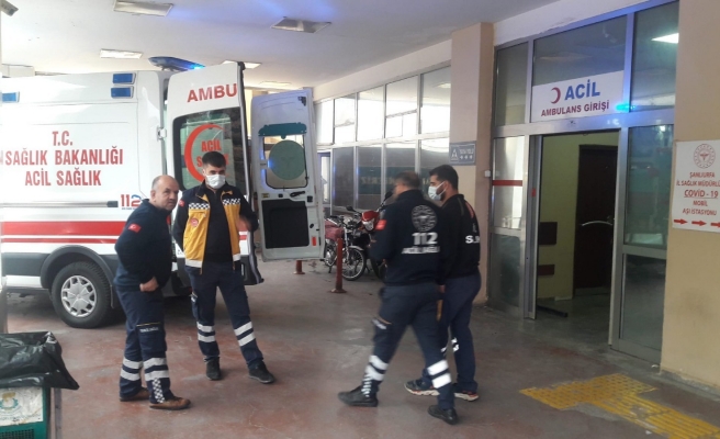 Haliliye'de çocuğa köpek saldırdı!