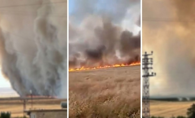 Şanlıurfa'da arazi yangını!