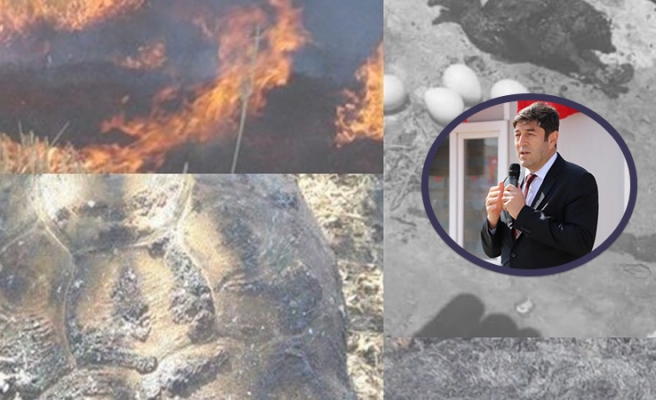 Öztürkmen: Topraktaki mikro organizmaların büyük bölümü zarar görüyor