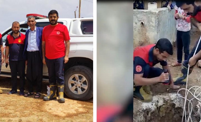 Kuyuya düşen yavru kediyi itfaiye kurtardı!