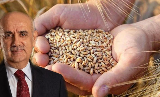 Buğday ve arpanın alım fiyatında artış