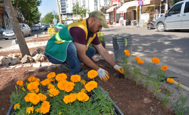 Siverek’te çiçek bahçesine dönüşüyor