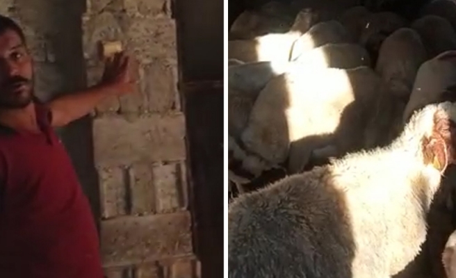 Hayvanları susuz kalan çiftçi isyan etti!