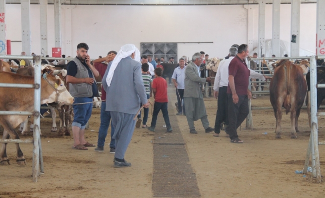 Kurban pazarında geçen yılların hareketliliği yok