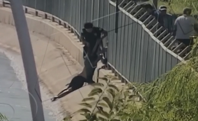 Video çekerken sulama kanalına düştü!