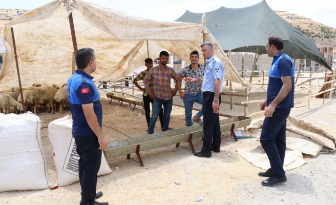 Haliliye’de Kurban Bayramı hazırlıkları tamamlandı!