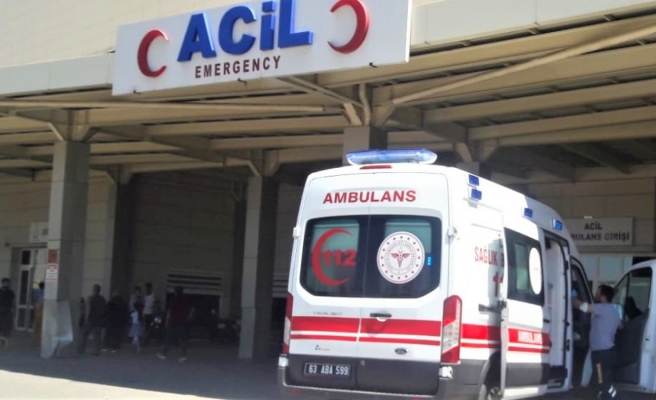 Urfa’da köpek saldırısına uğrayan iki kişi yaralandı