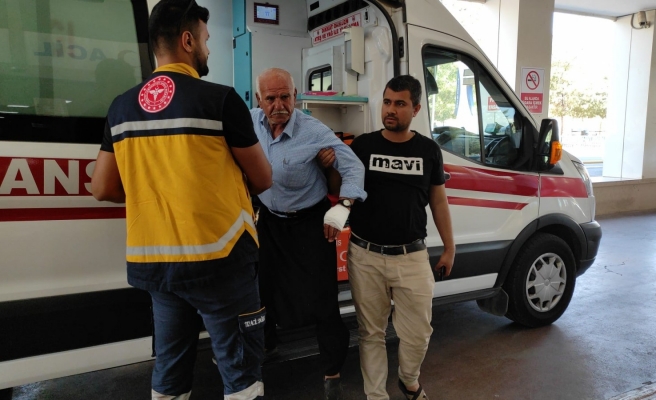 Acemiliklerinin kurbanı oldu